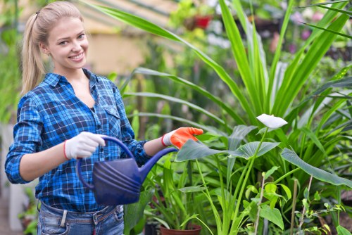Waste removal and site access arrangements for garden works