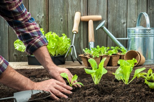 Installing garden drainage to improve runoff in Stokenewington
