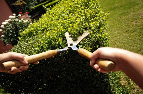 Website content structured for screen-reader friendly landscaping access