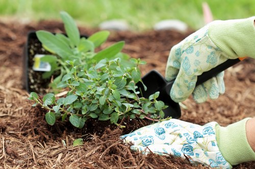 Final pricing overview for landscaping services in Stokenewington
