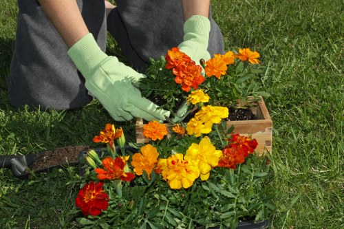 Final review of a landscaping service issue