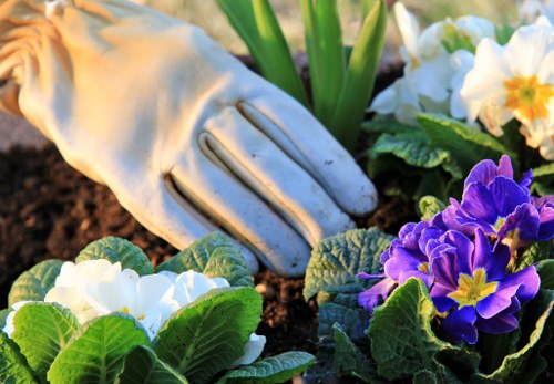 Residential soft landscaping in Stokenewington with shrubs, lawn, and border planting