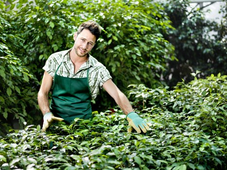 Free landscaping quote discussion for a Stokenewington property