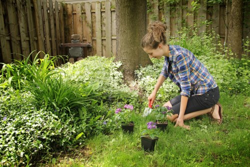 Keyboard navigation and accessible web interface for local landscaping services