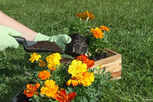 Sustainable garden design in Stokenewington with shrubs and paths