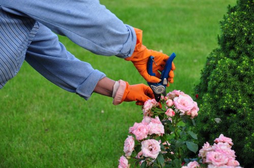 Accessibility request and ongoing improvement for landscaping website users