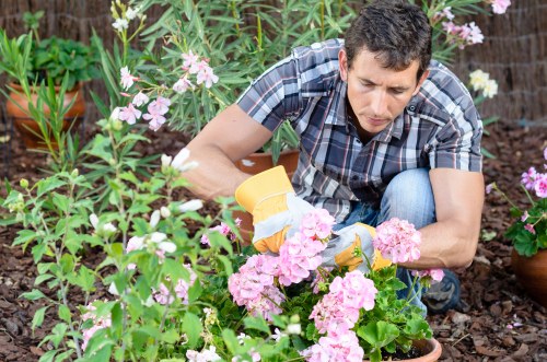 Sustainable landscaping project with waste separated for recycling